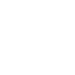 Global Perspective