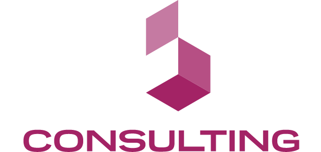 Rubix Consulting