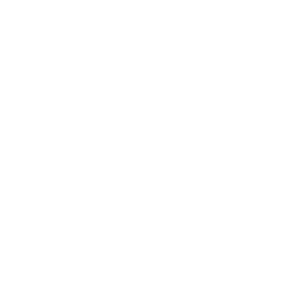 Commitment to Innovation & Roadmap to the Future