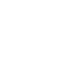 Global Reach, Local Expertise