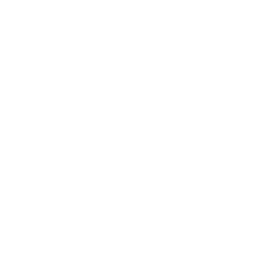 People Power — The Rubix Team Advantage