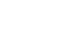 Digital Cooperation Organization
