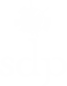 Saudi Development Program